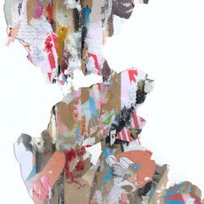 Matthew John Apol