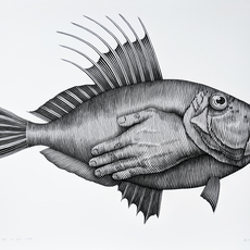 Nicolas Sanchez (b. 1983)
