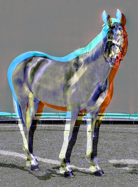 Chris Levine, ‘Frankel Pop Icon’, 2015, Leehwaik Gallery