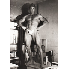 Michael Harwood