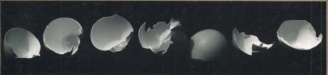 Ron Stark, ‘Still Life with Box of Eggshells’, 1972, Washington Color