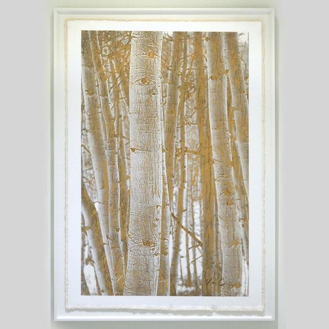 Bill Claps, ‘Aspen Woodlands’, Exhibit by Aberson