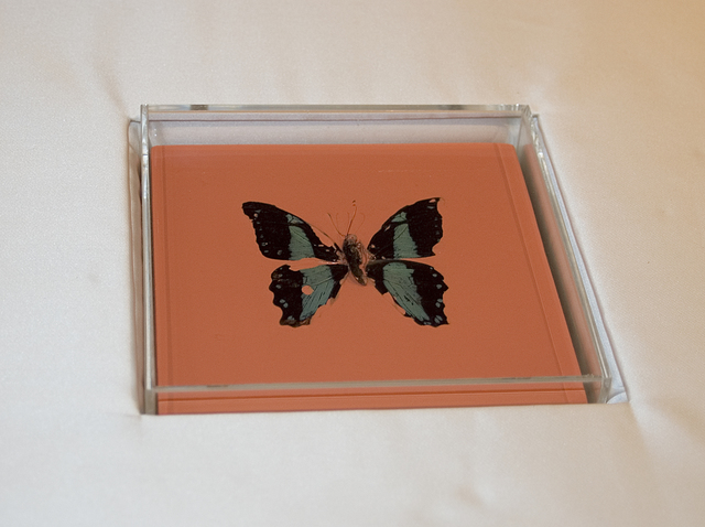 Damien Hirst, ‘Butterfly Painting’, 2005, Paul Stolper Gallery