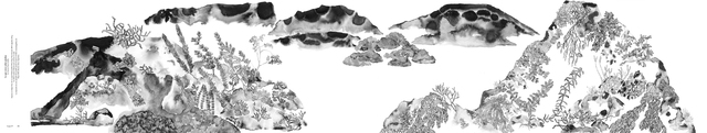 Aurora Castillo, ‘Lo que crece sobre piedras’, 2015, REA