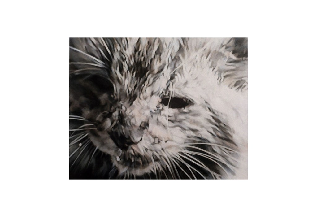 Judith Eisler Judith Eisler