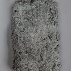 Paulius Sliaupa