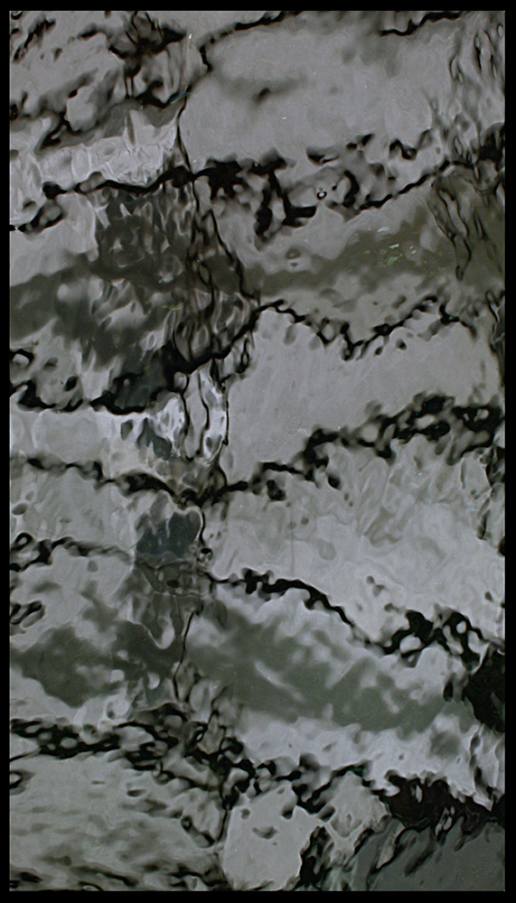 Natalia de Mello, Natural Painting Brush, 2015 Natalia de Mello, Natural Painting Brush, 2015