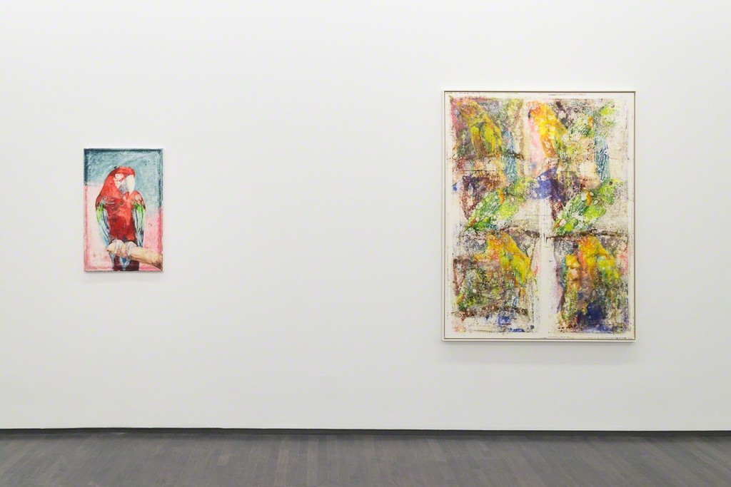 James Krone, An Ornithology for Birds, Installation View, 2015. Photo by Tim Johnson
James Krone, An Ornithology for Birds, Installation View, 2015. Photo by Tim Johnson