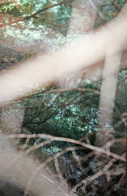Susan Wides, ‘August 31, 2015’, 2015, Madelyn Jordon Fine Art