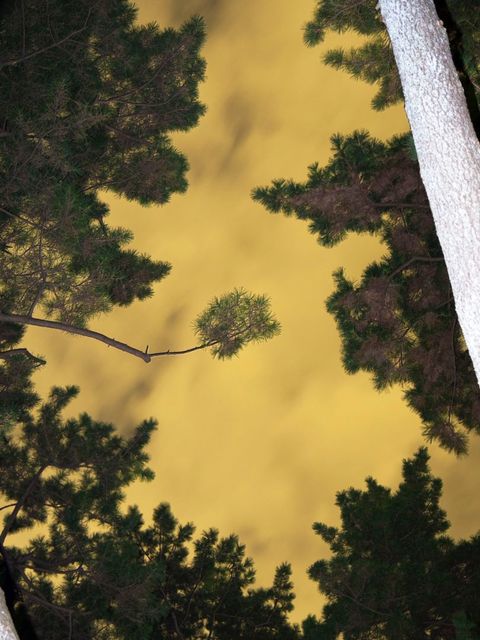 Yoshinori Mizutani, ‘Moonlight 001’, 2014, Photography, Archival pigment print on Hahnemuhle Fine Art Baryta Paper, CHRISTOPHE GUYE GALERIE