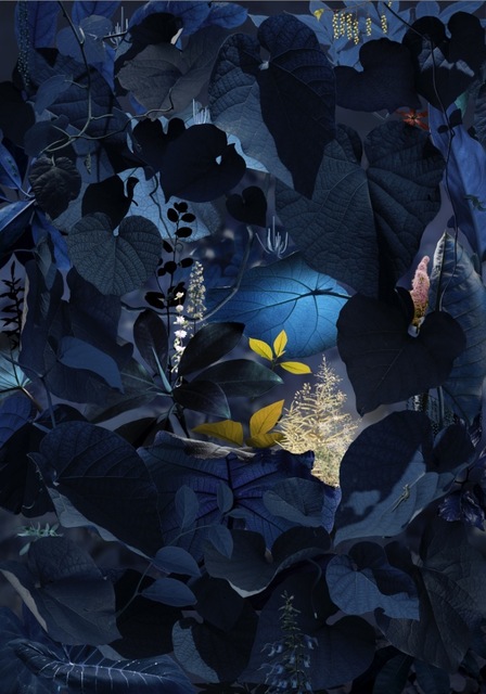 Ruud Van Empel, ‘Floresta Negra #5’, 2018, Huxley-Parlour