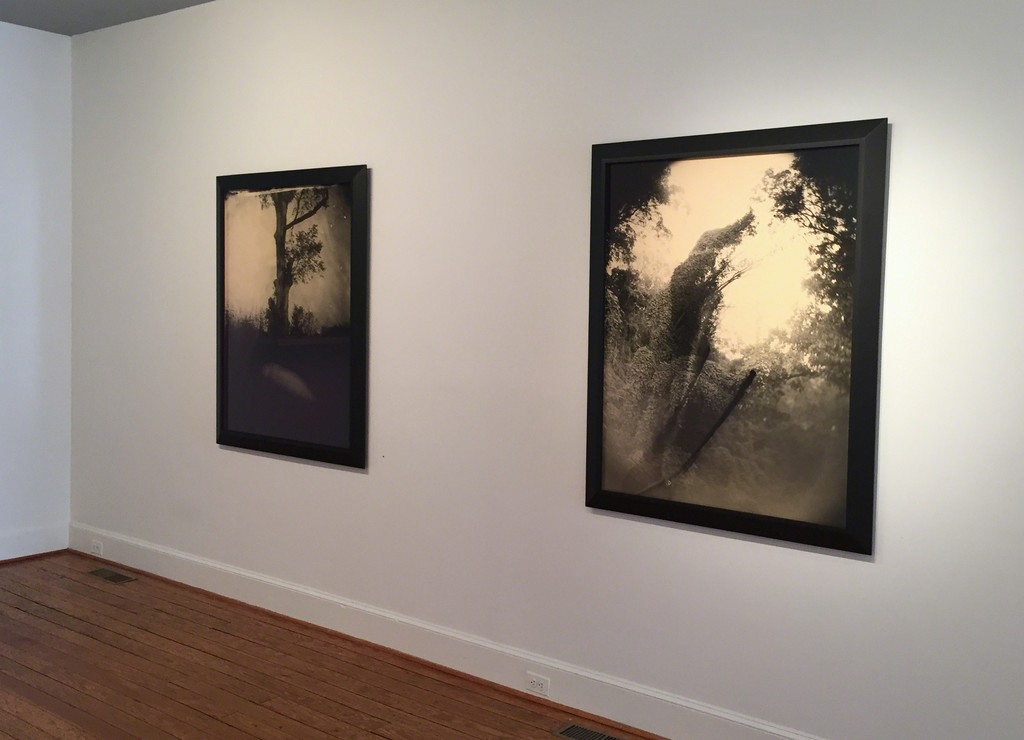 From right to left: Untitled (#3 Kudzu Tree with Two), 1998; Untitled (#5 Stone Grave), 1998. From right to left: Untitled (#3 Kudzu Tree with Two), 1998; Untitled (#5 Stone Grave), 1998.