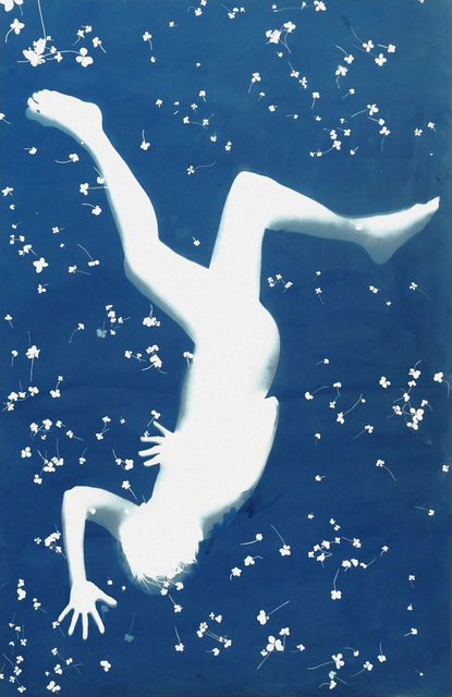 Nancy Wilson-Pajic, ‘Falling Angels n° 11’, 1995, Photography, Unique cyanotype photogram, Robert Koch Gallery