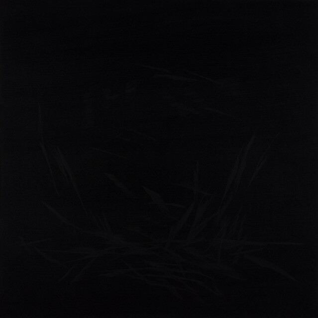 ''Ground'' Series — Çağla Köseoğulları (2023)