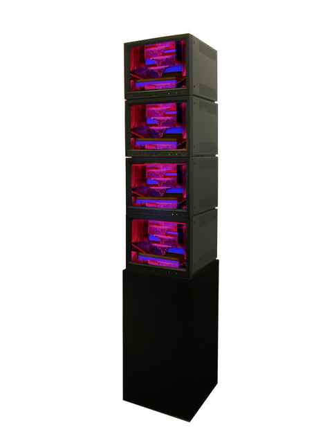 James Alec Hardy, ‘180320 04’, 2018, Video/Film/Animation, Totem of 4 Monitors on Plinth from Xoniuqequinox SD video, 4 CRT Monitors, Video Playback System Duration: 13:35 min, Kristin Hjellegjerde Gallery