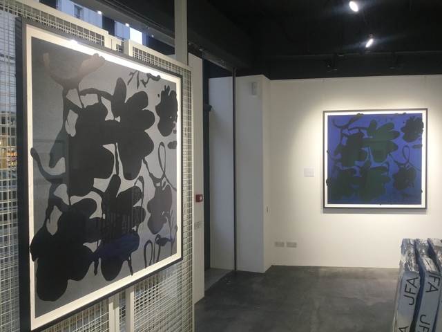 Donald Sultan, ‘Lantern Flowers, Black and Grey FRAMED’, 2017, Joseph Fine Art LONDON