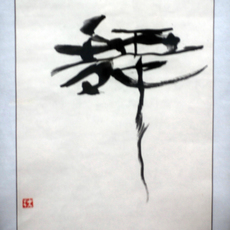 Lin Wenjie