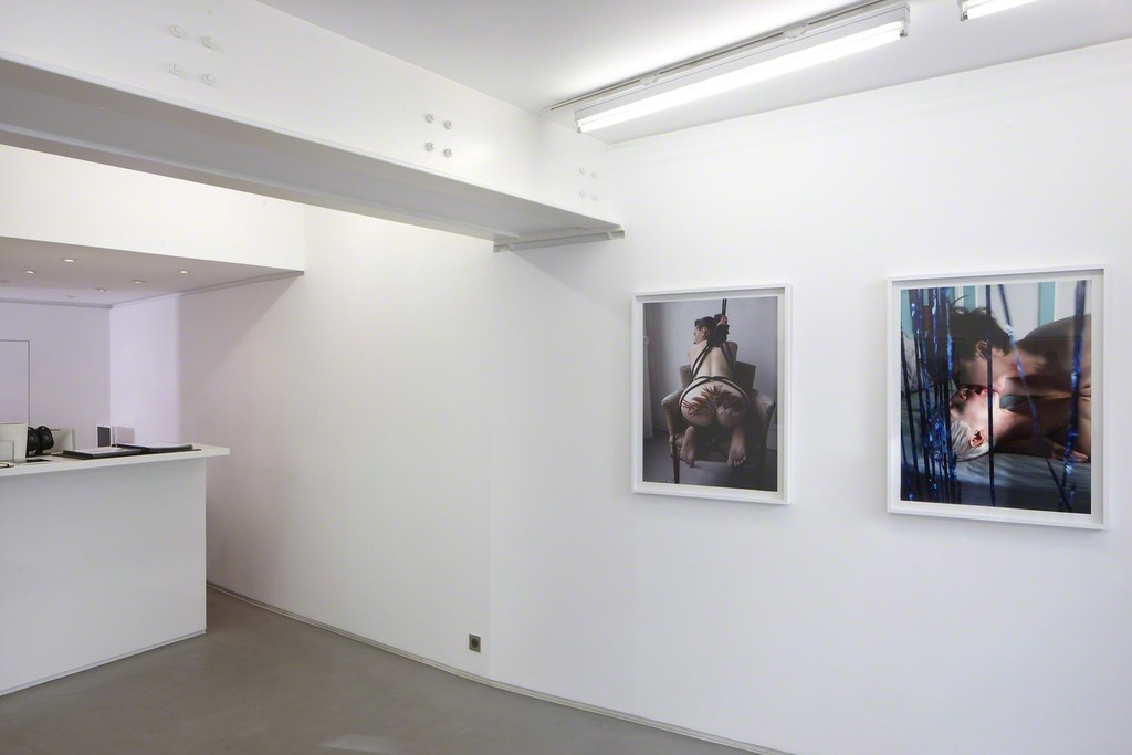 Installation view, ‘AestheticSexAmerica’ curated by Annka Kultys at Helene Bailly Gallery, Paris 2012 Installation view, ‘AestheticSexAmerica’ curated by Annka Kultys at Helene Bailly Gallery, Paris 2012