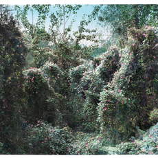 Shi Guowei