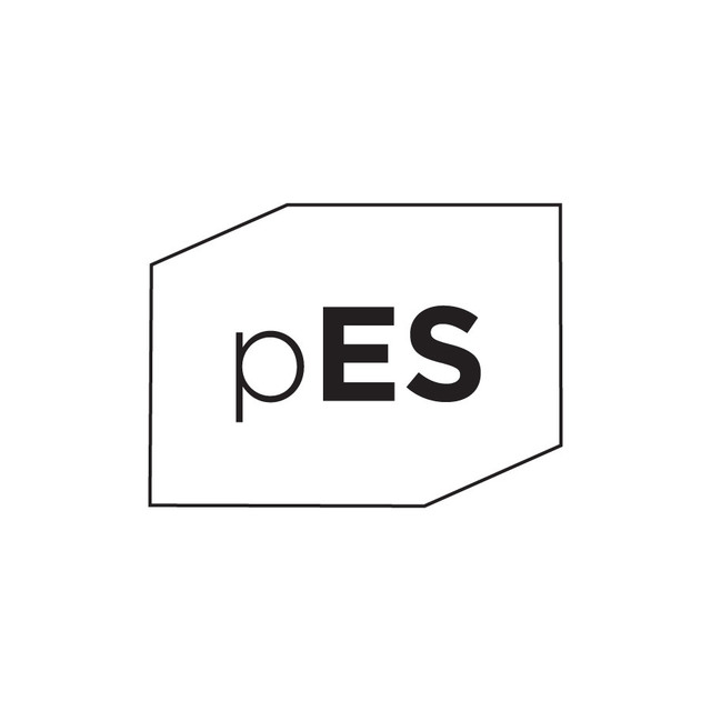 Project for Empty Space logo