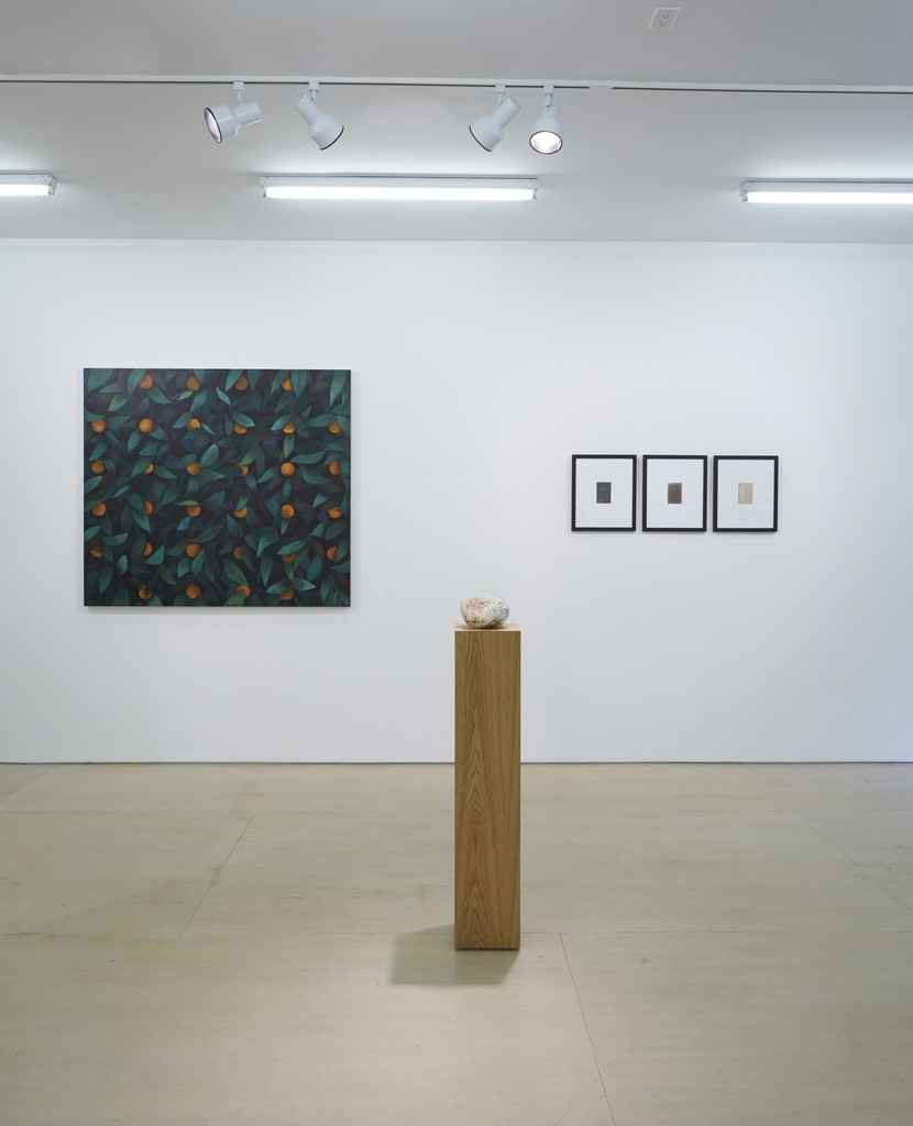 Installation view: Ordering Nature
New York, BOESKY EAST, June 12 – July 31, 2015
Photo credit: Jason Wyche Installation view: Ordering Nature
New York, BOESKY EAST, June 12 – July 31, 2015
Photo credit: Jason Wyche