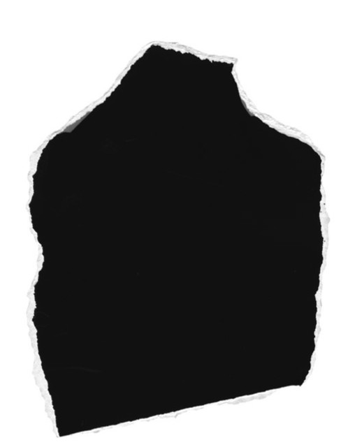 Bettina von Zwehl, ‘The Followers CII’, 2017-2018, Print, Pigment print on museum etching paper, Purdy Hicks Gallery