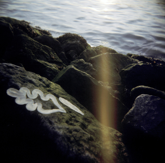 Bianca Kann, ‘#21’, 2019, Photography, Photography, Spotte Art