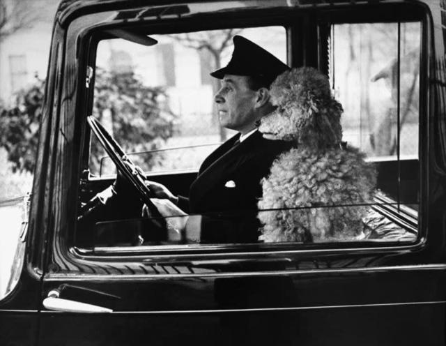 Thurston Hopkins, ‘La Dolce Vita’, 1953, Photography, Gelatin Silver Print, Venice Art Walk Benefit Auction