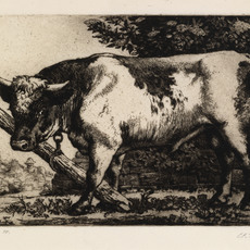 Charles Tunnicliffe
