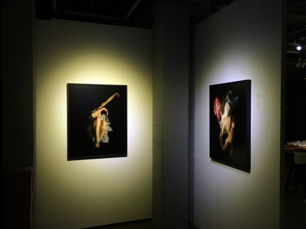 Christy Lee Rogers "The Eternal Aquatic" Exhibition 2015 at ART LABOR Gallery, Shanghai Christy Lee Rogers "The Eternal Aquatic" Exhibition 2015 at ART LABOR Gallery, Shanghai