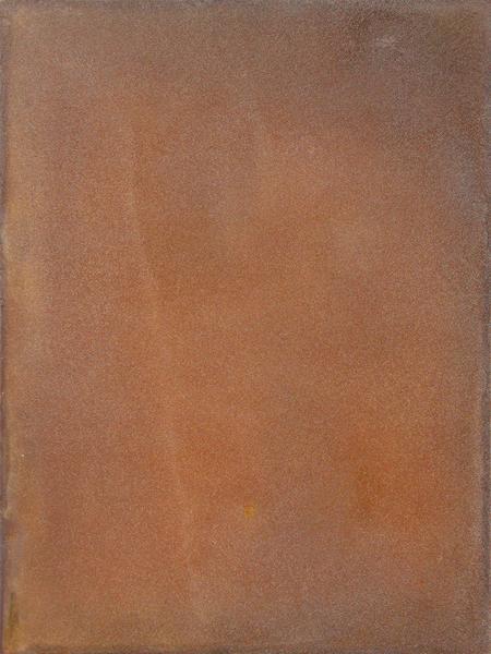Tom Burrows, ‘Siccia Decolorata’, 2016, Bau-Xi Gallery