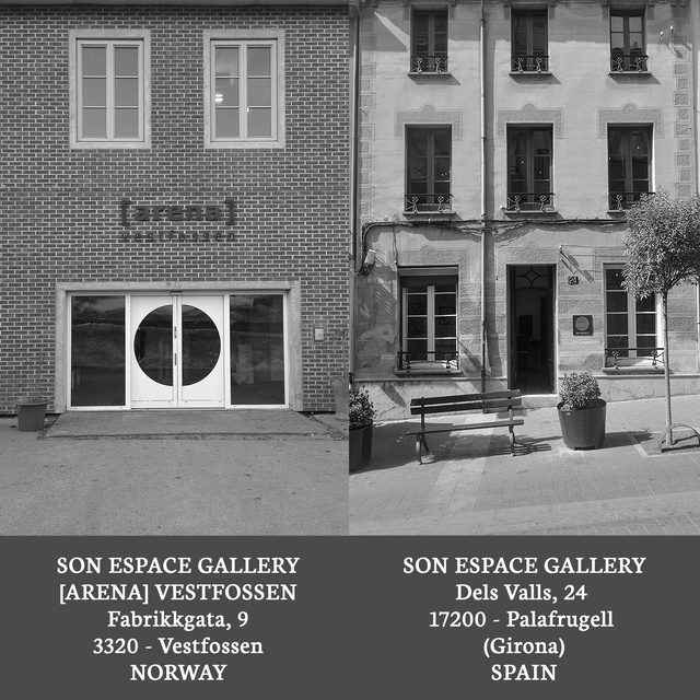 Son Espace Gallery logo