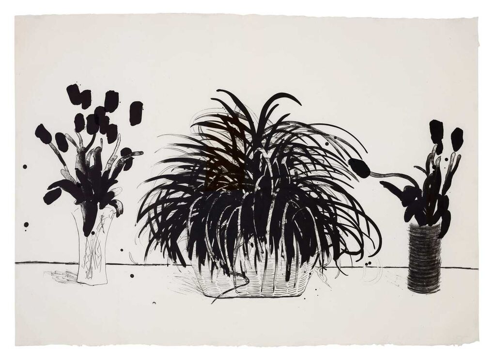 David Hockney - Two Vases of Cut Flowers and a Liriope Plant