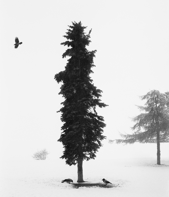 Pentti Sammallahti, ‘Helsinki, Finland’, 2016, Photography, Gelatin Silver Print, Peter Fetterman Gallery