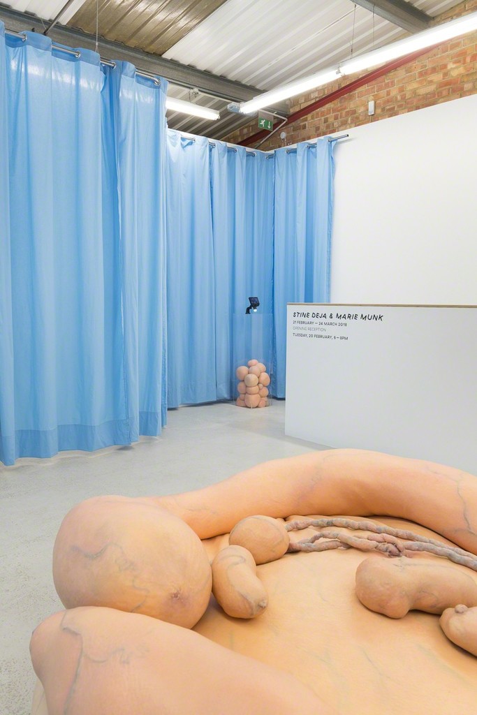 Installation view of Stine Deja and Marie Munk ‘Synthetic Seduction’ at Annka Kultys Gallery, London 2018. Photo: Annka Kultys Gallery (Damian Griffiths) Installation view of Stine Deja and Marie Munk ‘Synthetic Seduction’ at Annka Kultys Gallery, London 2018. Photo: Annka Kultys Gallery (Damian Griffiths)