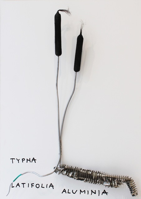 Kristof Kintera, ‘Typha Latofolia Aluminia’, 2017, Sapar Contemporary
