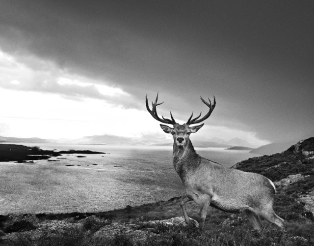 David Yarrow, ‘Over The Sea To Skye’, 2017, Isabella Garrucho Fine Art