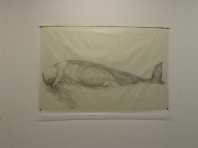 Avish Khebrehzadeh, ‘Whale’, 2009, Fort Worth Contemporary Arts