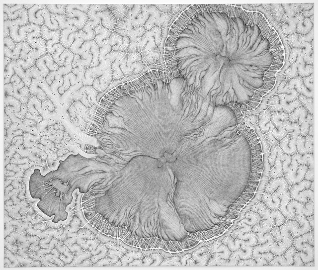 Daniel Zeller, ‘Noncompliance’, 2015, Drawing, Collage or other Work on Paper, Ink on paper, Pierogi