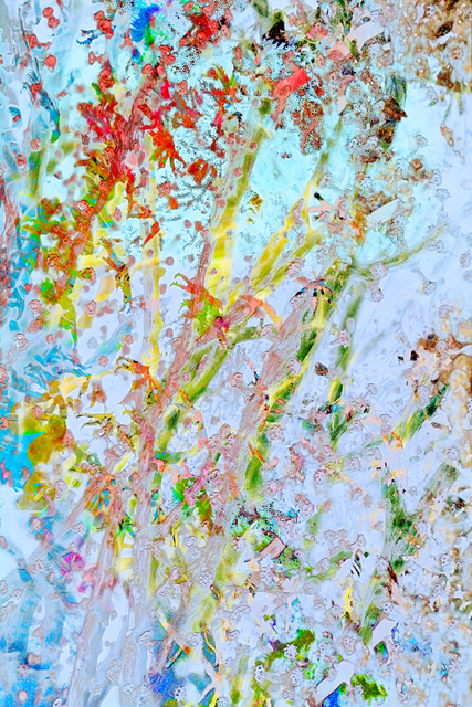 Alex Fischer, ‘Corel Bleaching’, 2017, Circuit Gallery