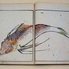 Koshu Hatta
