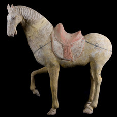 Tang Dynasty