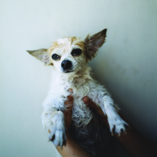 Takashi Homma