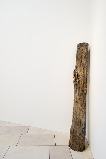 Giuseppe Penone, ‘Acacia & Foglie di Zucca’, 1982, Fondation Louis Vuitton