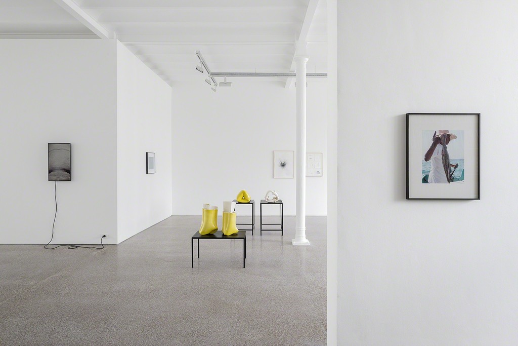 Installation view, Joe Zorrilla, 2017, Galerie Greta Meert Installation view, Joe Zorrilla, 2017, Galerie Greta Meert
