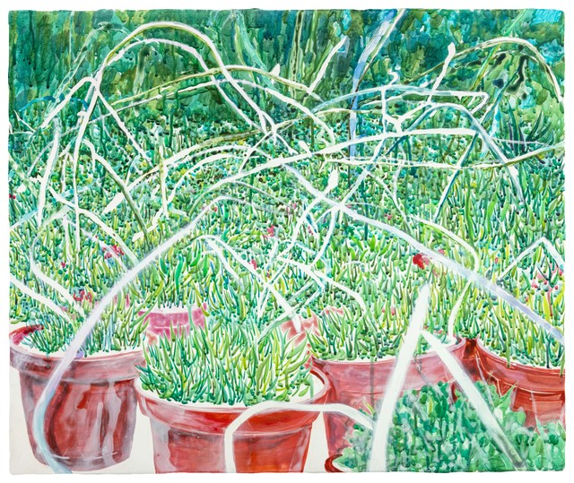 Lin-Yuan Zeng, ‘Disordered Stems’, 2018, Aki Gallery