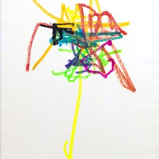 Marcel Schwittlick