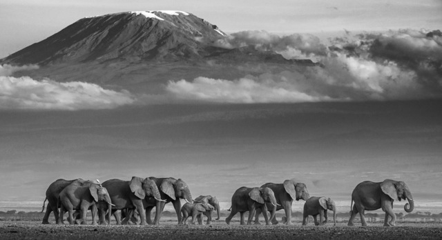 David Yarrow, ‘We Walk The Line’, 2019, Fineart Oslo