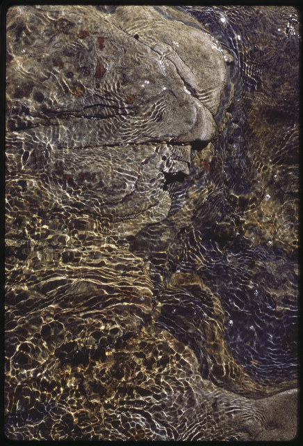 Lee Mullican, ‘Point Lobos’, 1962-1981, Equitable Vitrines