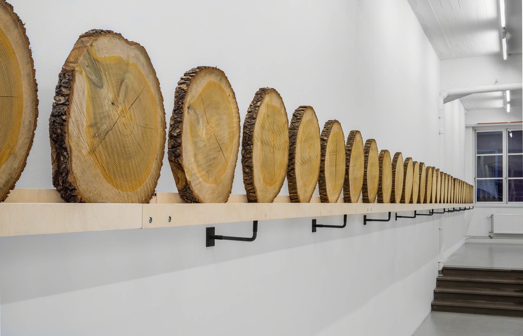 Installation view Xavier Veilhan at Andréhn-Schiptjenko, 2015. Installation view Xavier Veilhan at Andréhn-Schiptjenko, 2015.